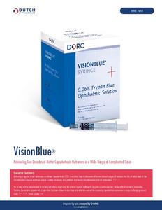 VisionBlue® White Paper Executive Summary USA